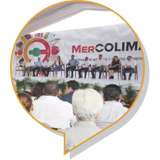 Podium